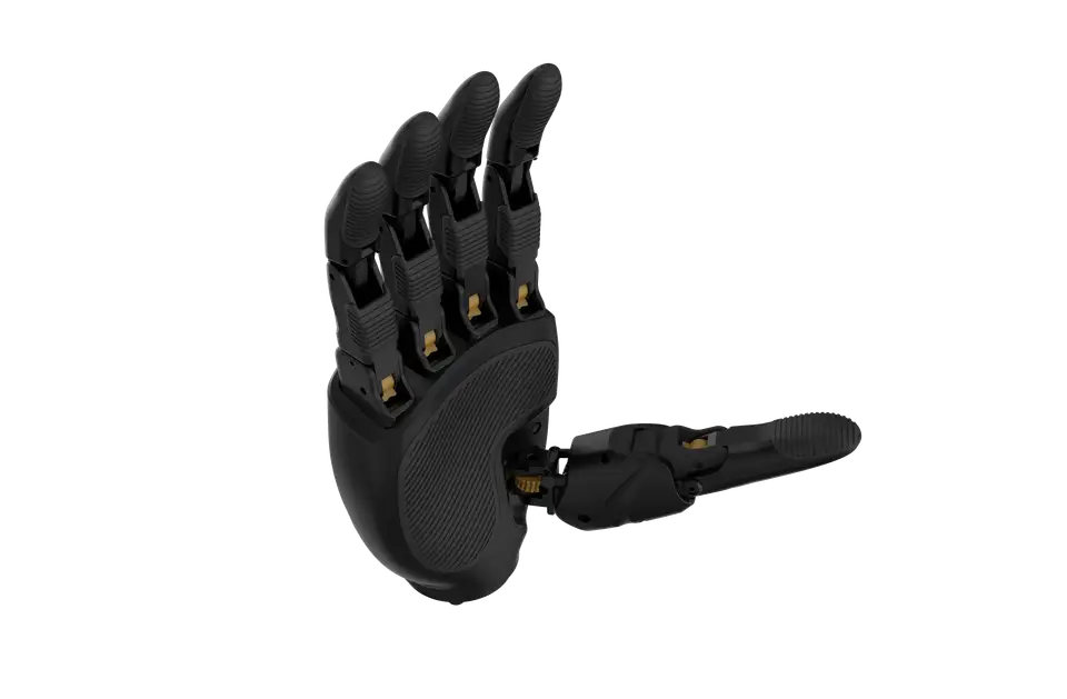 GI HAND